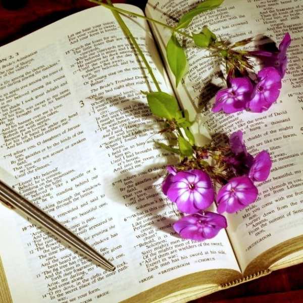 God’s Goodness: Simple, But Precious&nbsp;Truths